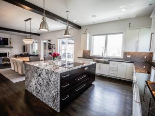 Contemporary Kitchen